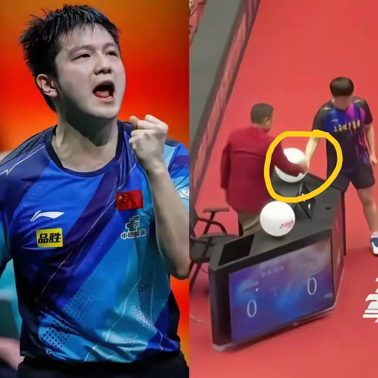 包含日本乒乓球队横扫波兰乒乓球队，樊振东完成帽子戏法的词条