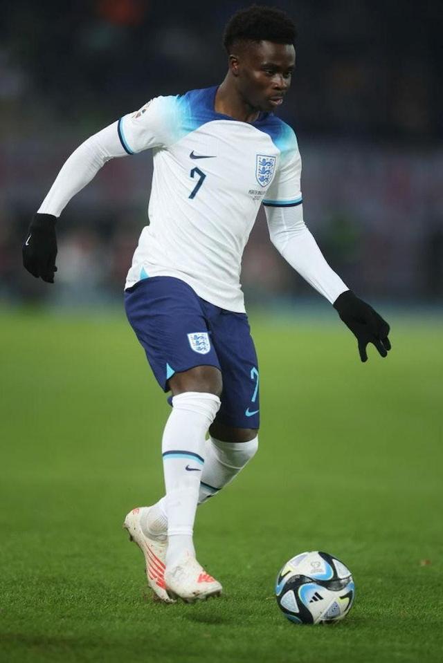 新秀球员成为球队亮点，展现出色表现引人瞩目