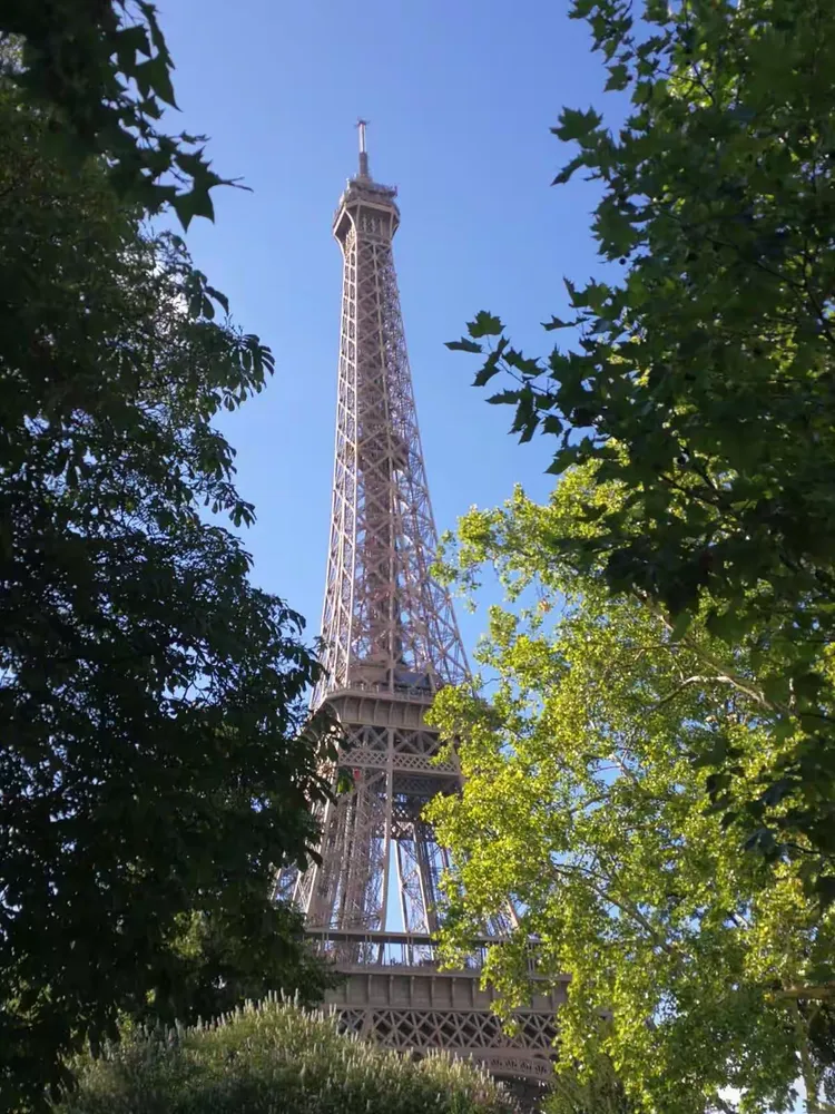 阿尔维内客场力克奥尔良，实现胜利的简单介绍