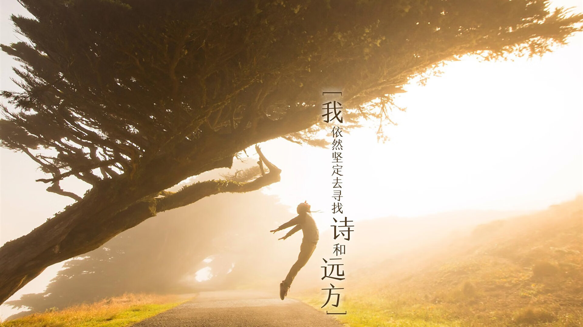 当爵士乐遇见魔法,库里统治级数据背后的篮球哲学