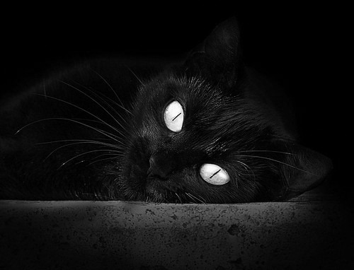 李刚仁,大场面先生!塞内加尔对阵墨西哥,亚洲之光的全球舞台时刻