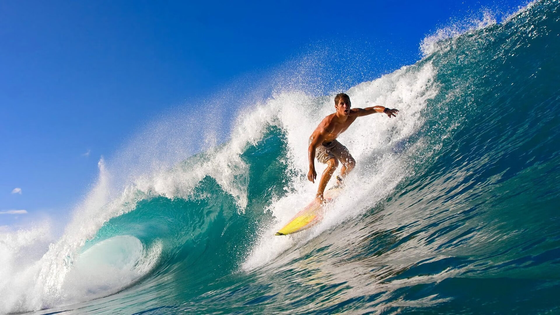 字母哥存在感拉满！魔术如何以团队之力抗衡国王的孤星闪耀？